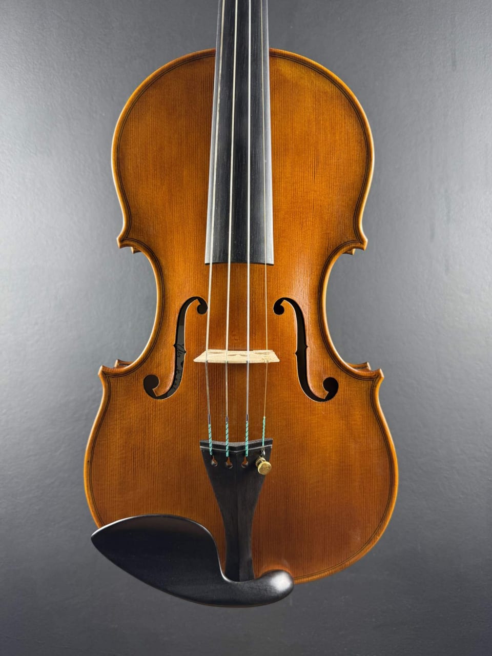 Meistervioline Nr. 294 — Nicolo Amati 1666 — Foto 1