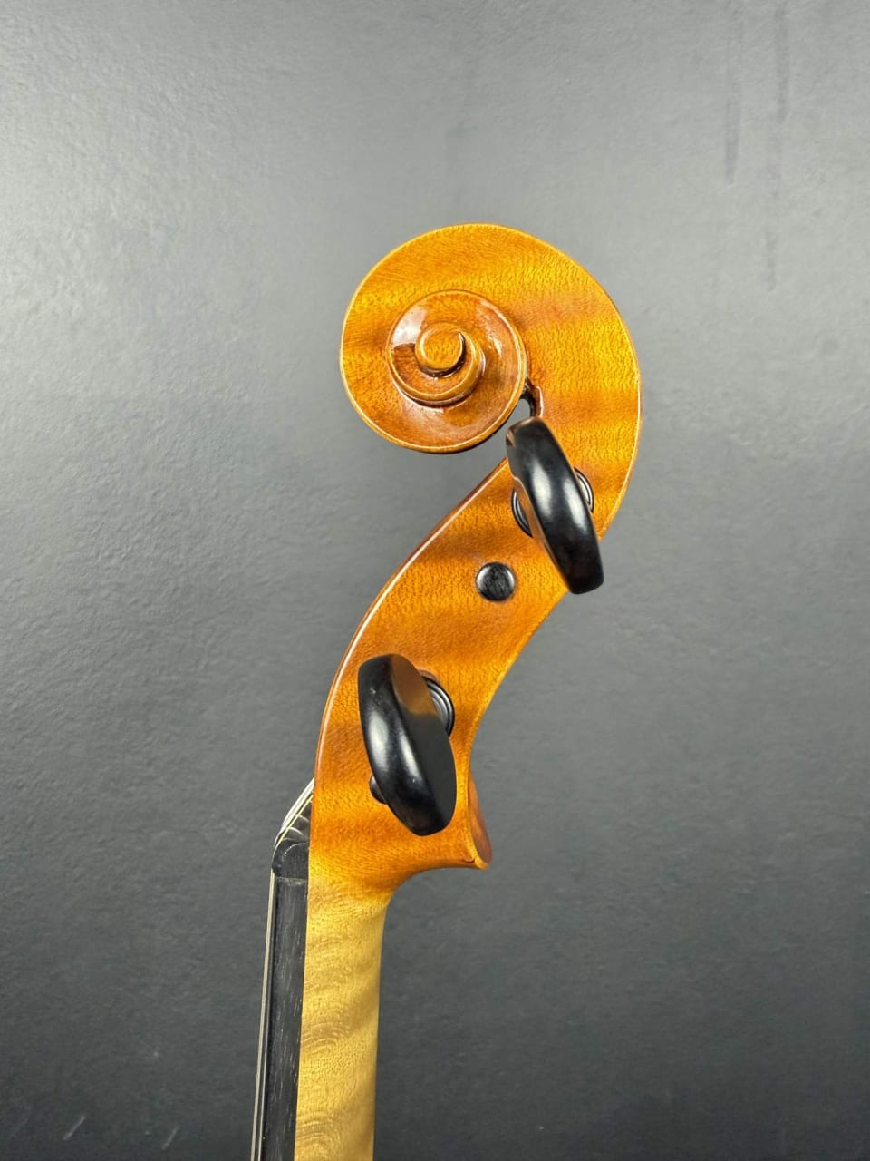 Meistervioline Nr. 294 — Nicolo Amati 1666 — Foto 5