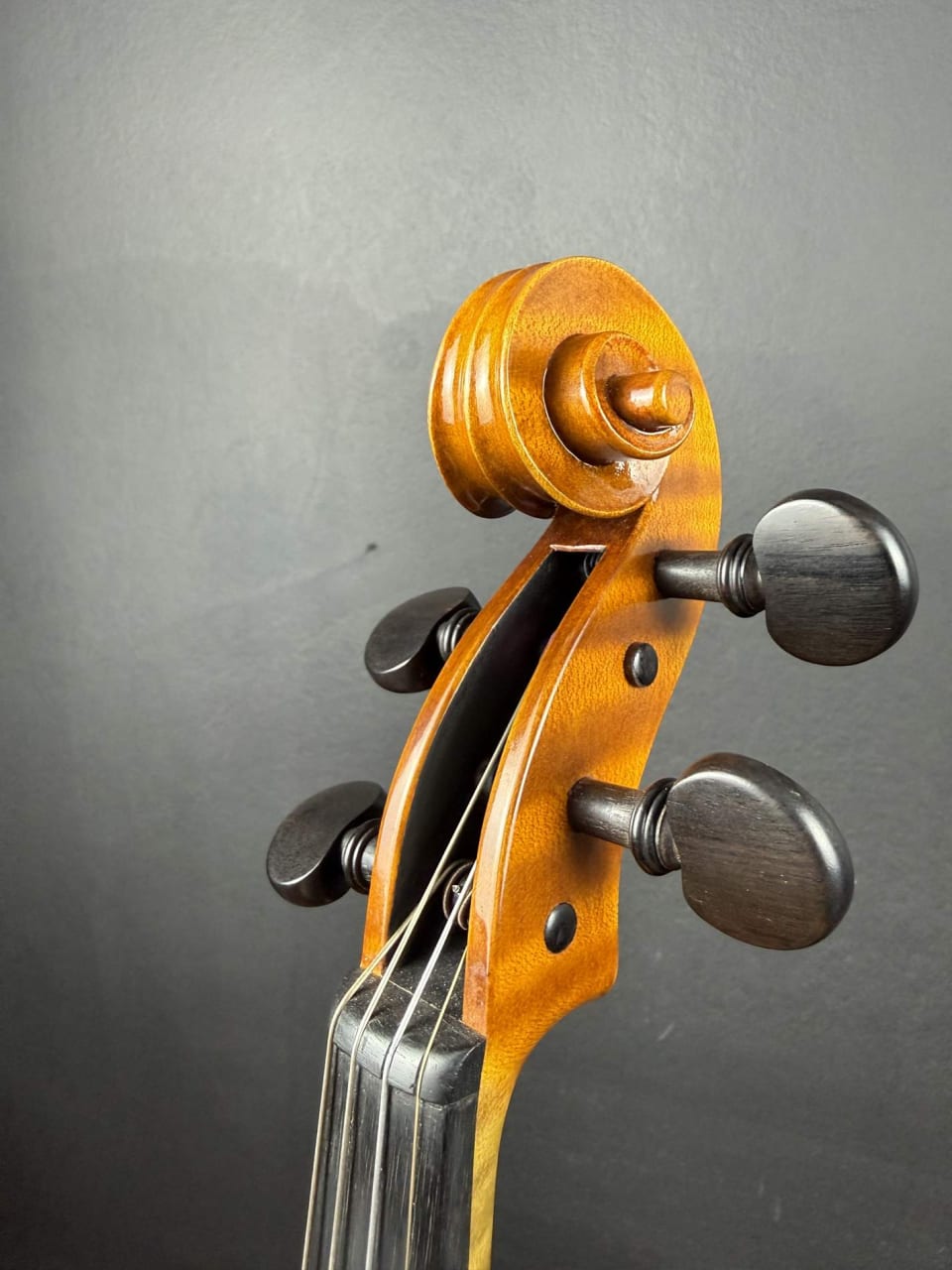 Meistervioline Nr. 294 — Nicolo Amati 1666 — Foto 6