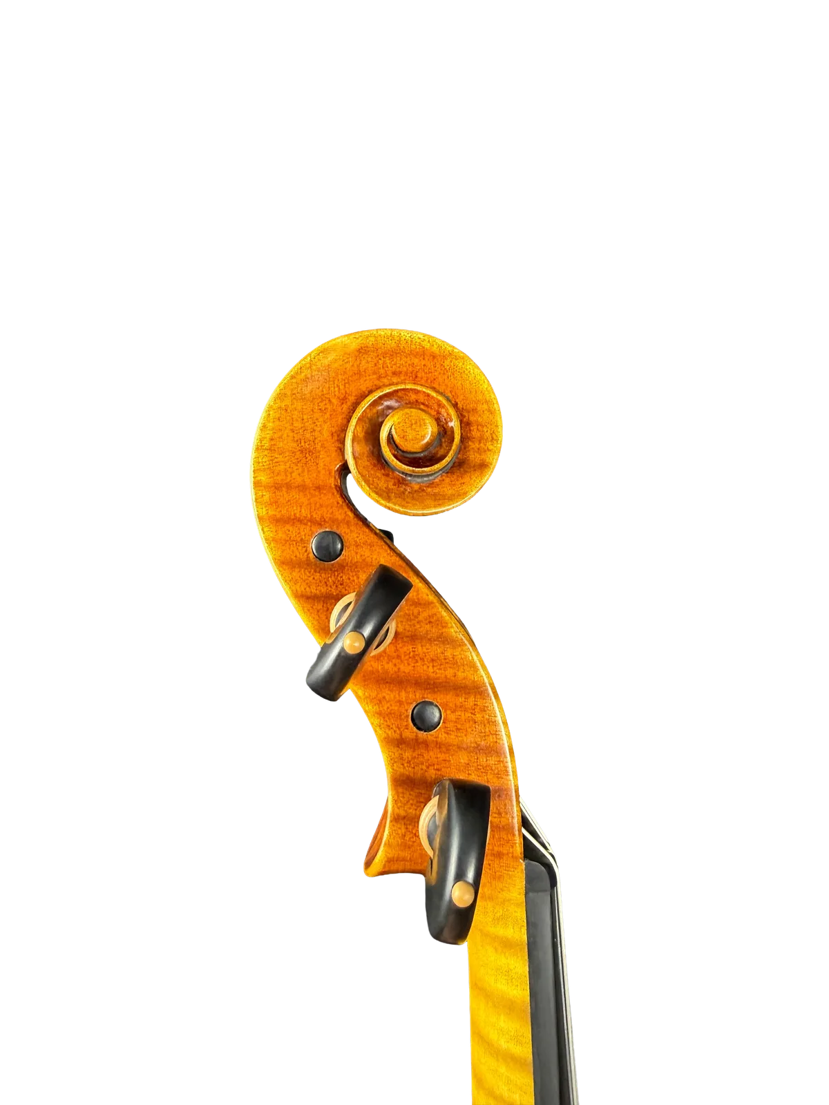 Vioară de maestru №308 — Guarneri „King” — fotografie 10