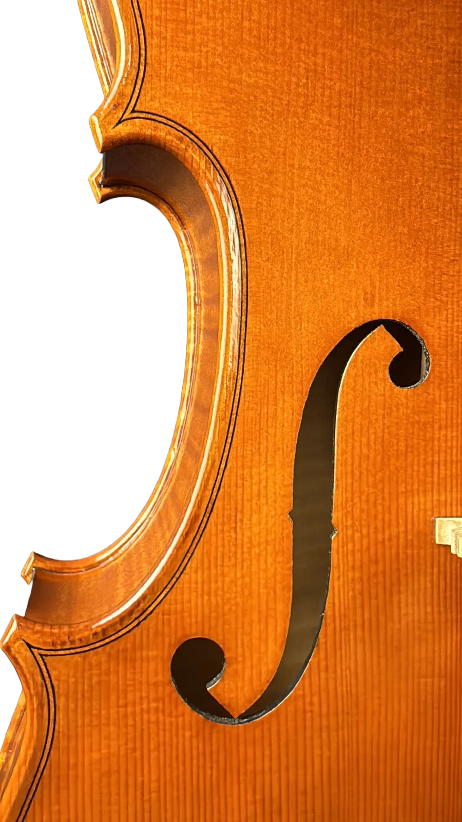 Meisterbratsche Nr. 9 — Modell nach Stradivari — Foto 7