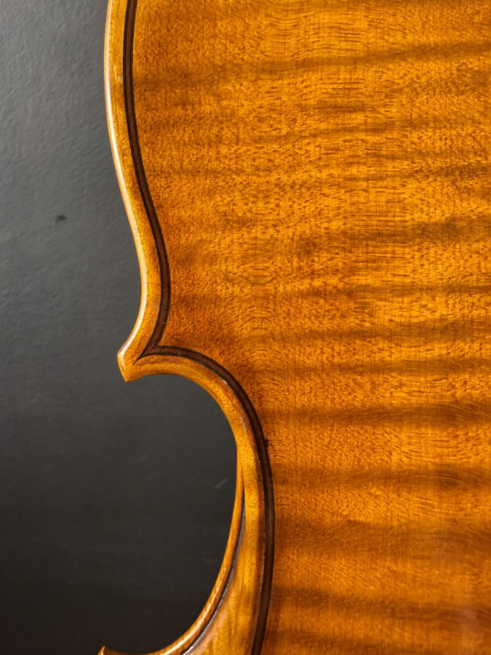 Violă de maestru №123 — Model Stradivari — fotografie 9
