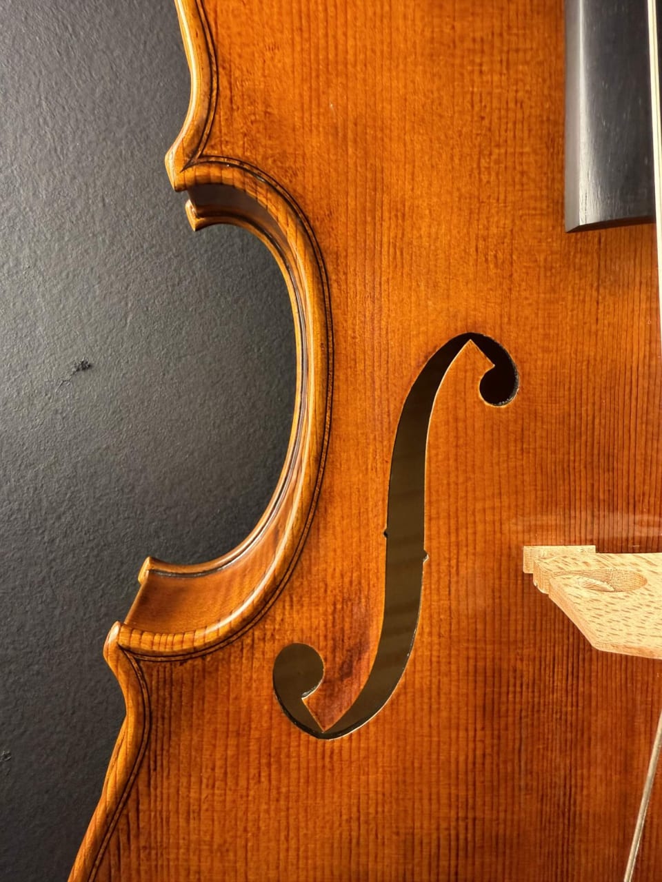 Master viola No. 131 — Guarneri model — photo 15