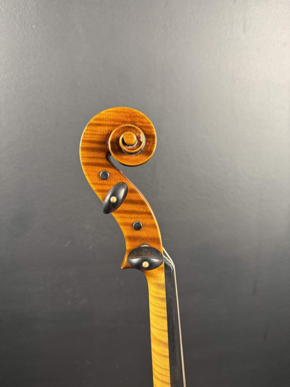 Master viola No. 131 — Guarneri model — photo 16