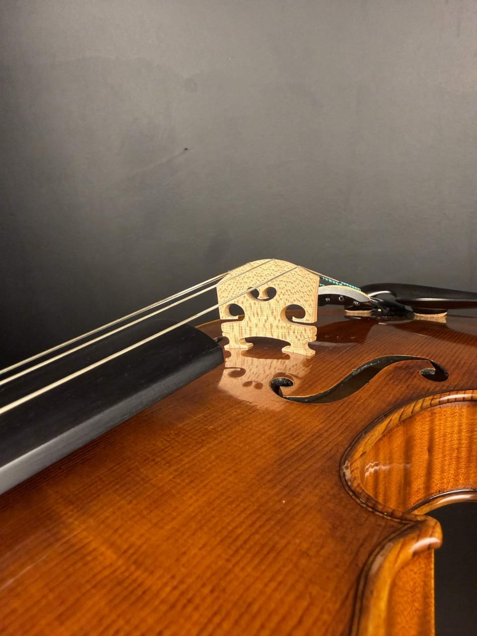 Master viola No. 131 — Guarneri model — photo 7
