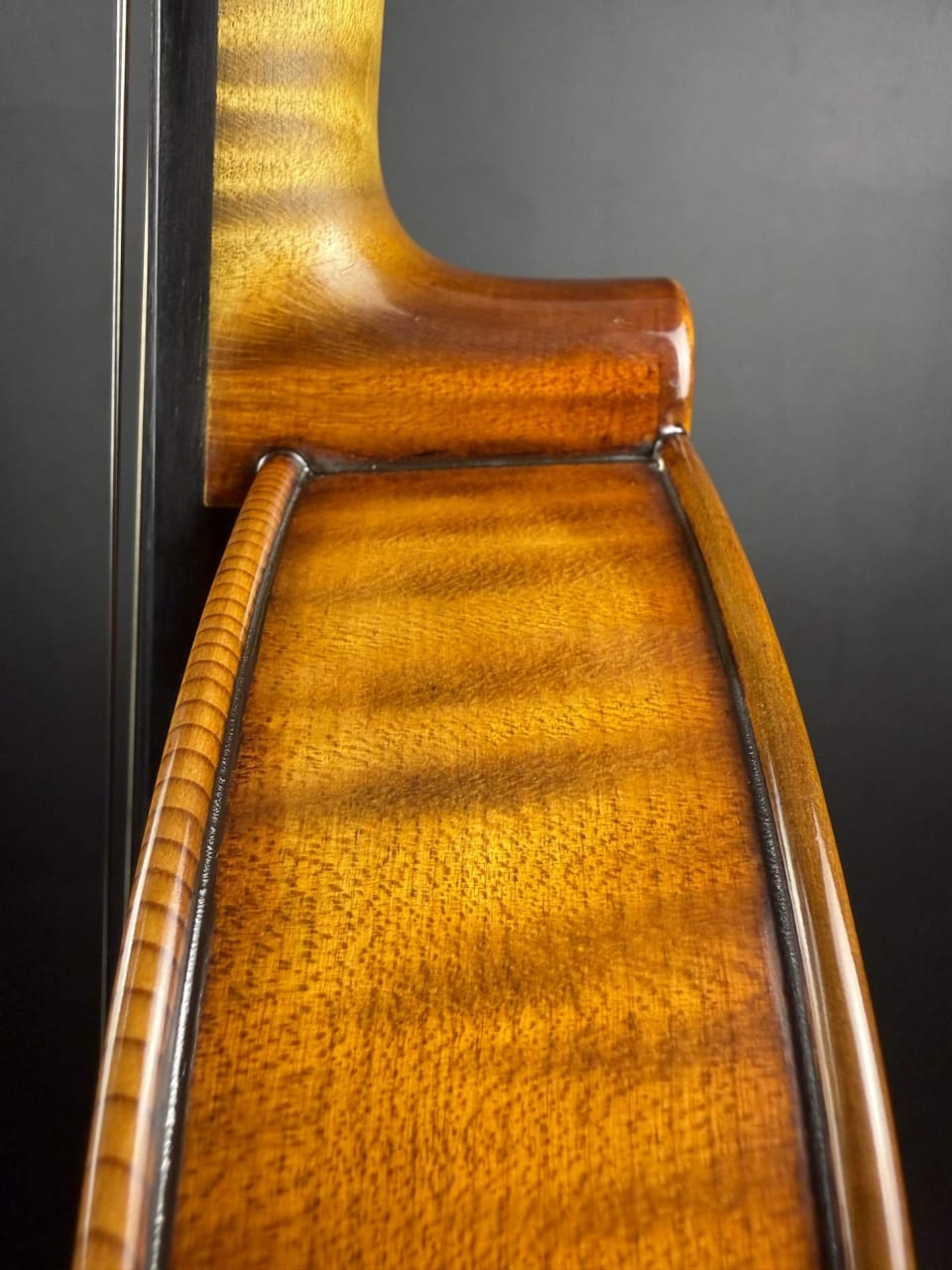 Master viola No. 131 — Guarneri model — photo 8