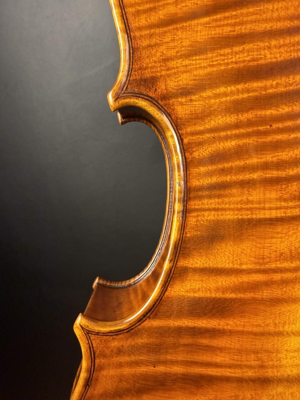 Master viola No. 131 — Guarneri model — photo 9