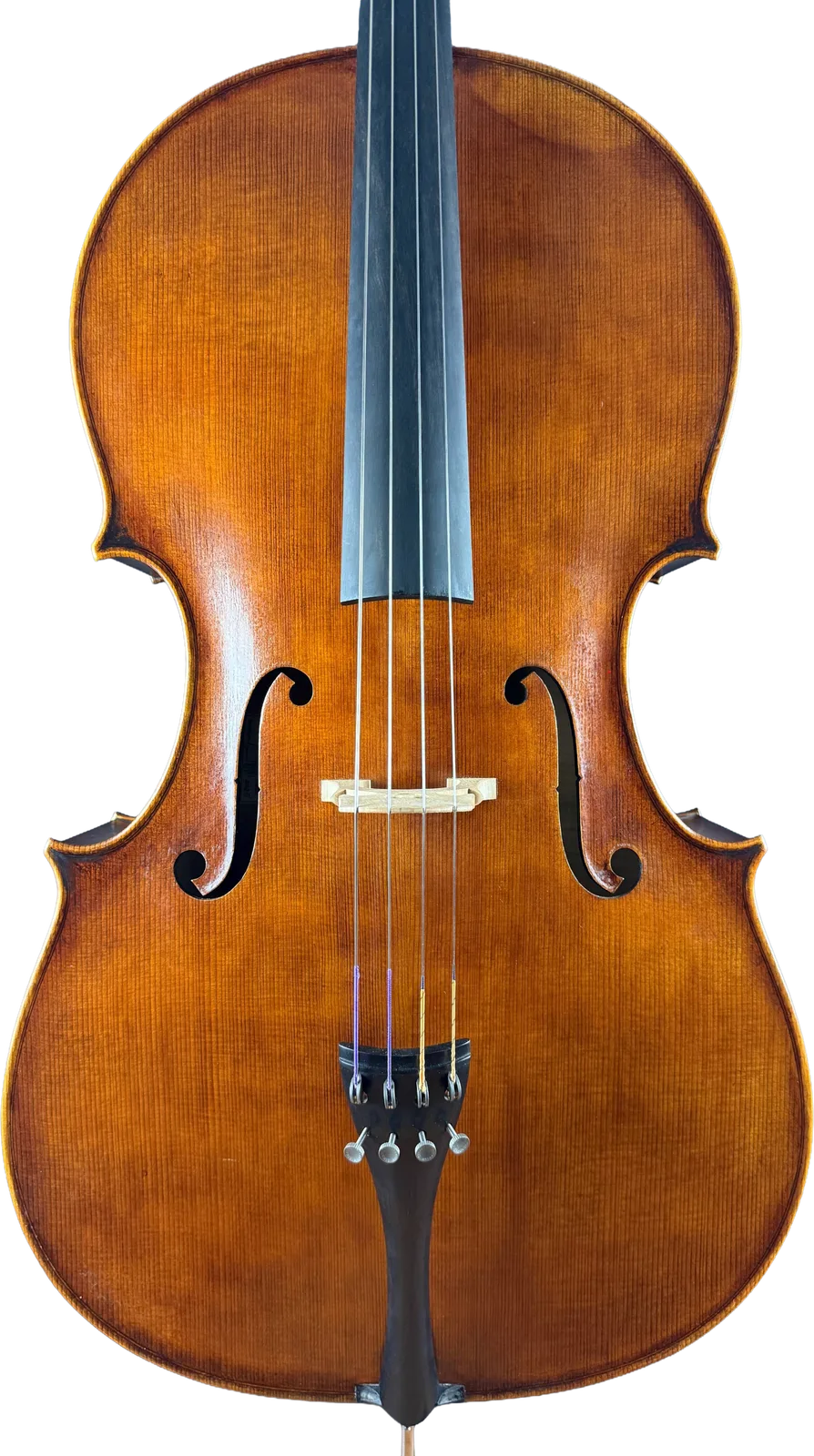 Master cello No. 6 — Montagnana model