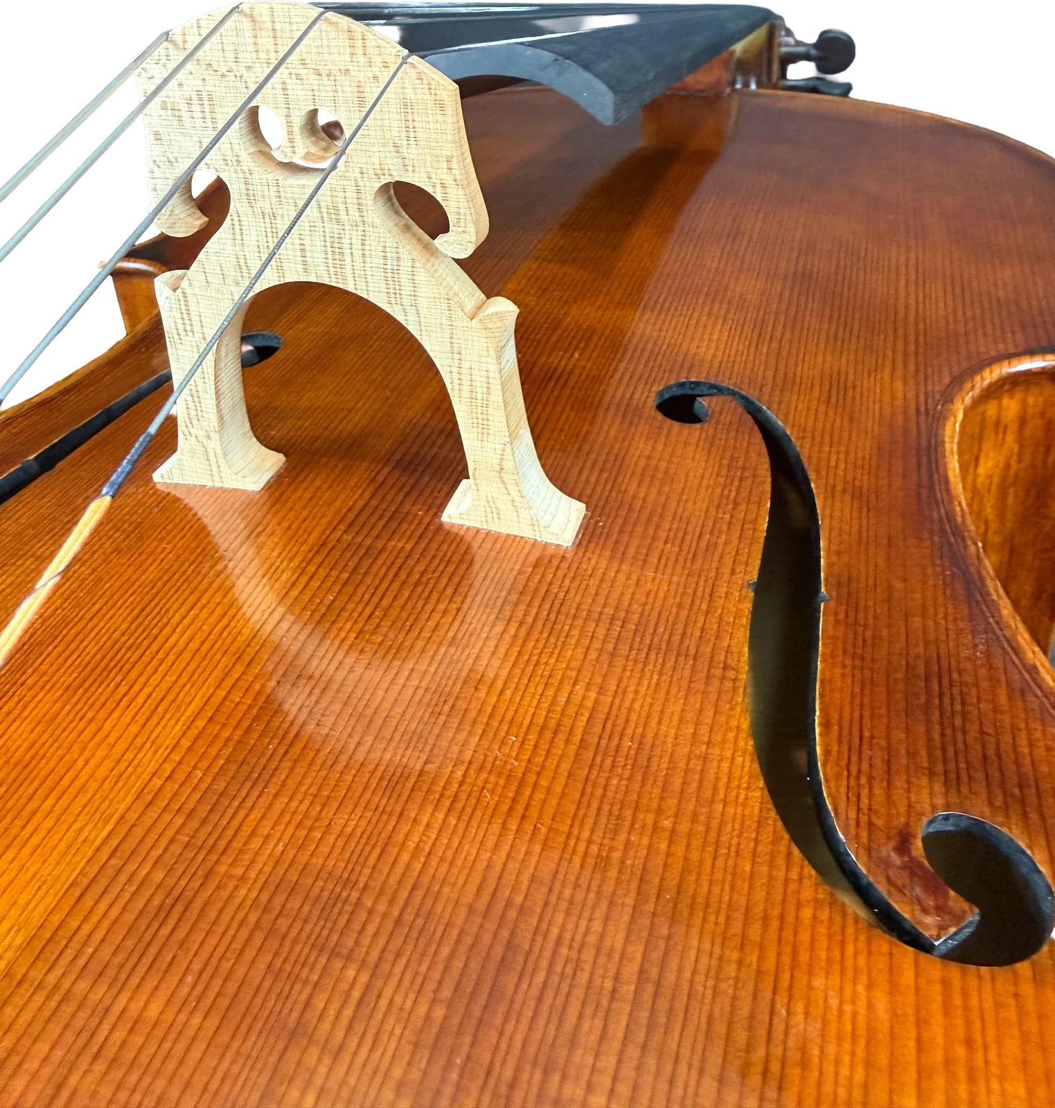 Master cello No. 6 — Montagnana model — photo 10