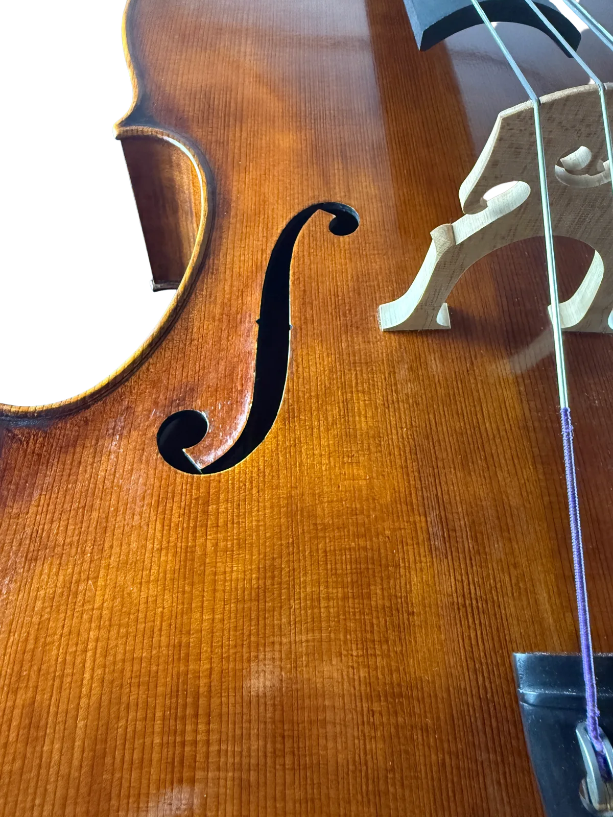 Master cello No. 6 — Montagnana model — photo 11