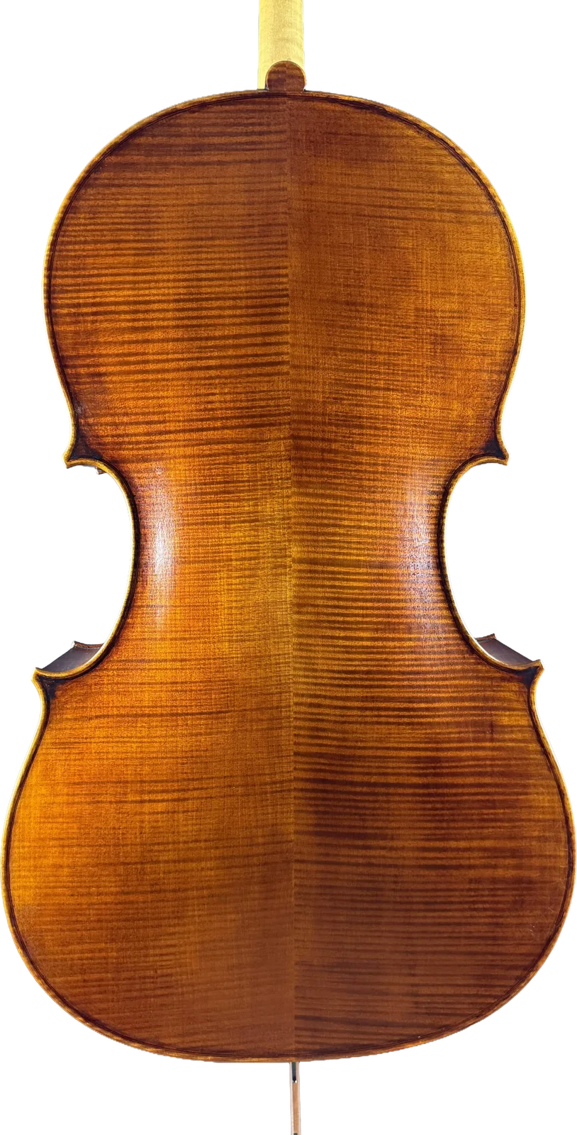 Master cello No. 6 — Montagnana model — photo 2
