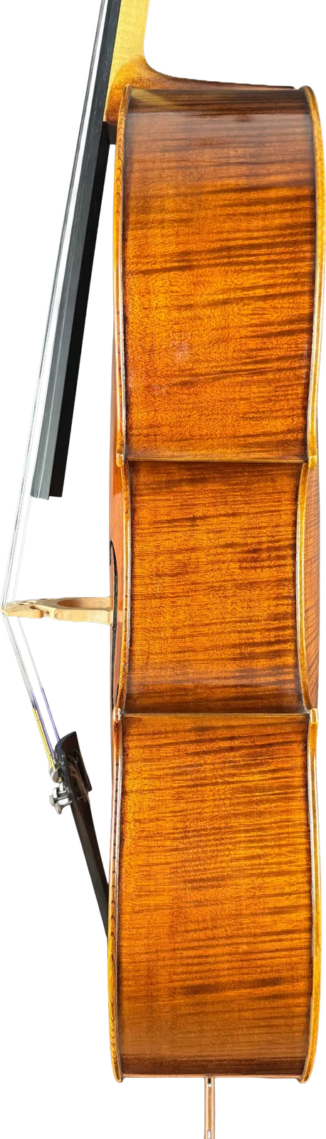 Master cello No. 6 — Montagnana model — photo 3