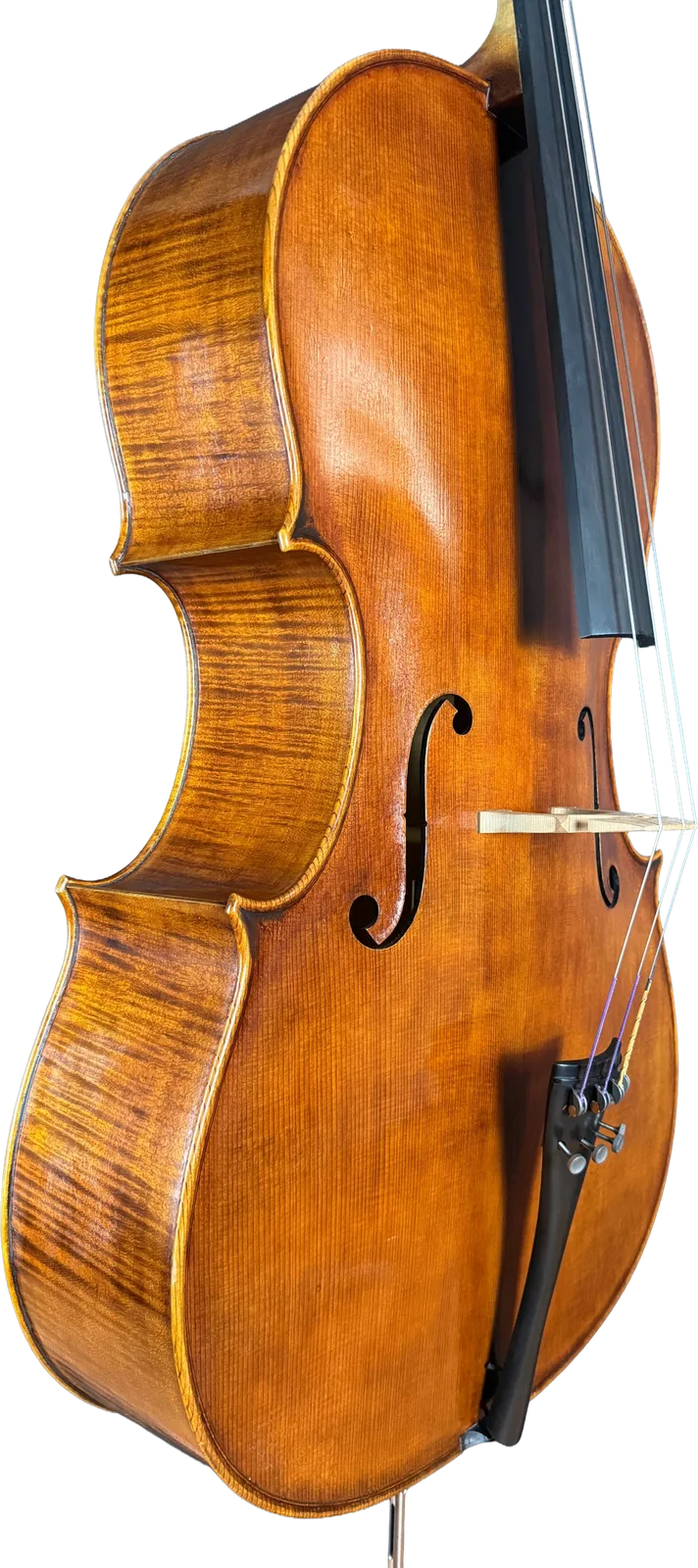 Master cello No. 6 — Montagnana model — photo 4