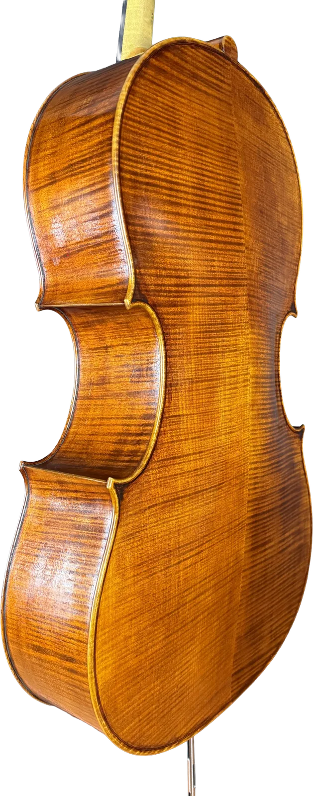 Master cello No. 6 — Montagnana model — photo 5