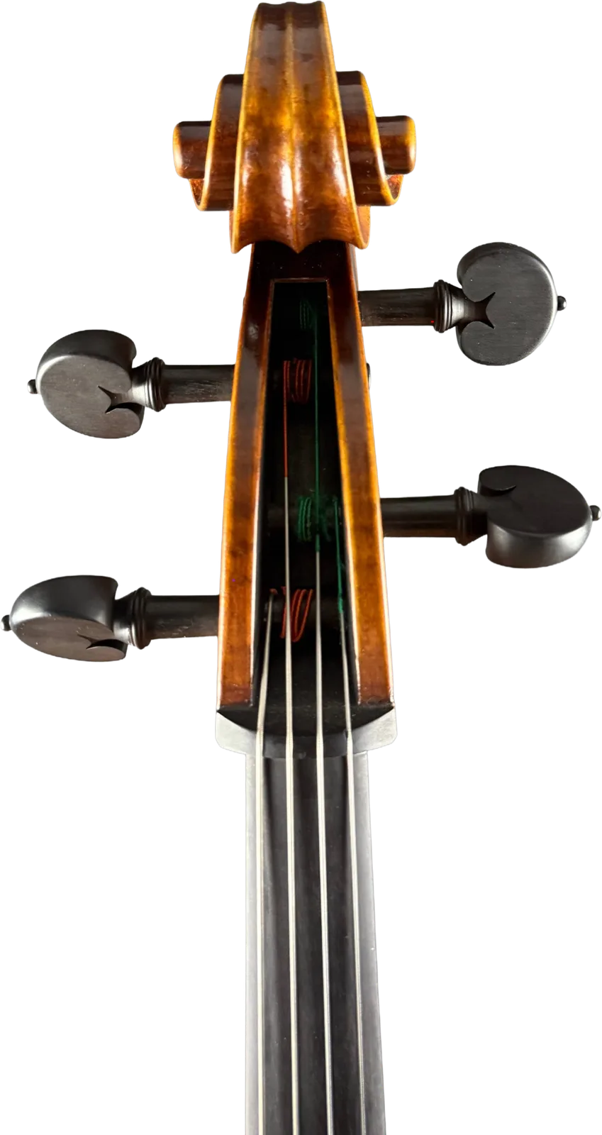 Master cello No. 6 — Montagnana model — photo 6