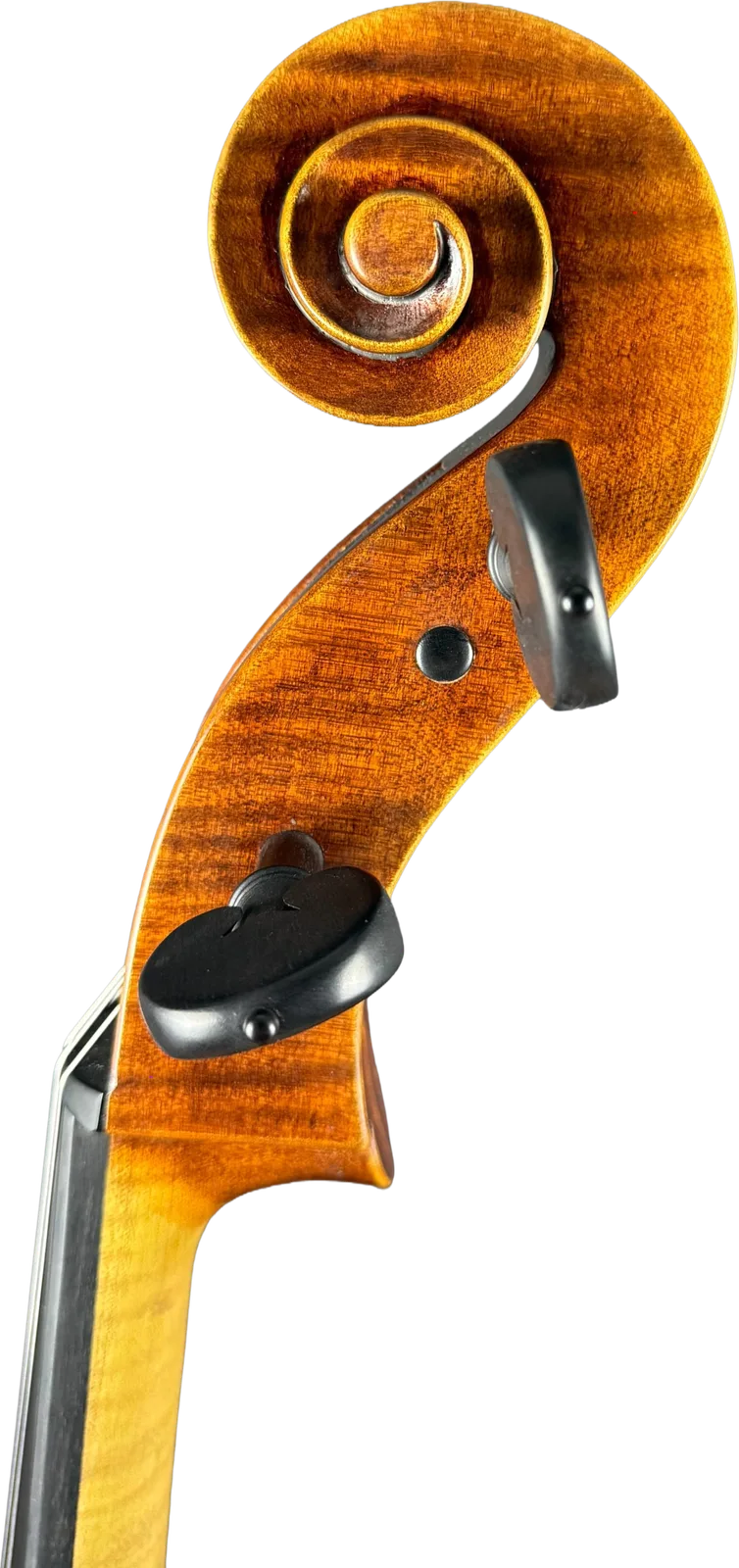 Master cello No. 6 — Montagnana model — photo 7