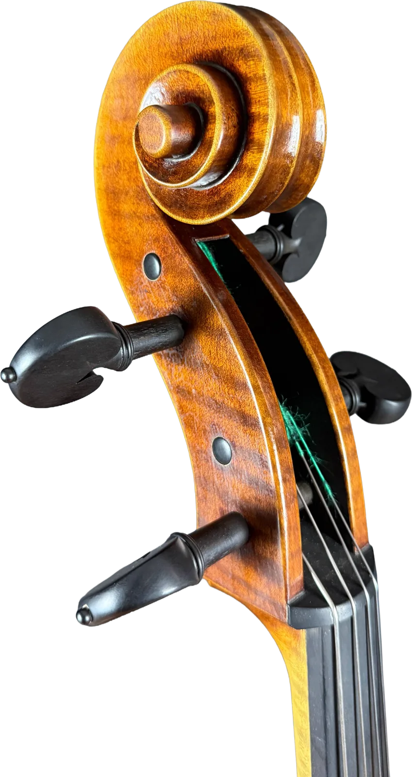 Master cello No. 6 — Montagnana model — photo 8