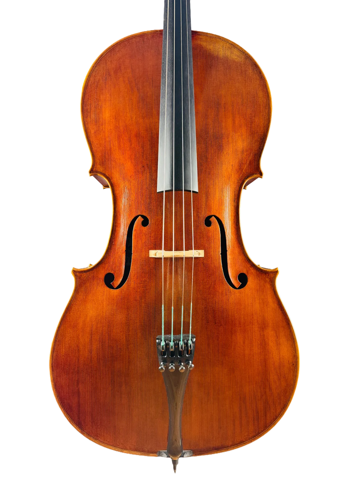Master cello No. 7 — Gagliano model