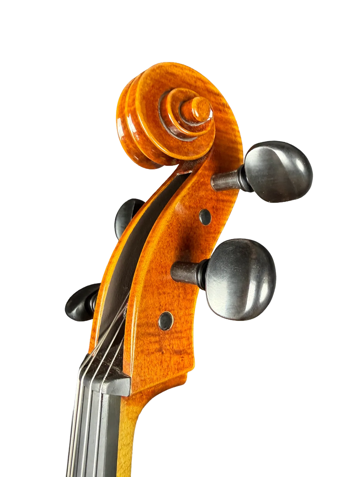 Master cello No. 7 — Gagliano model — photo 10