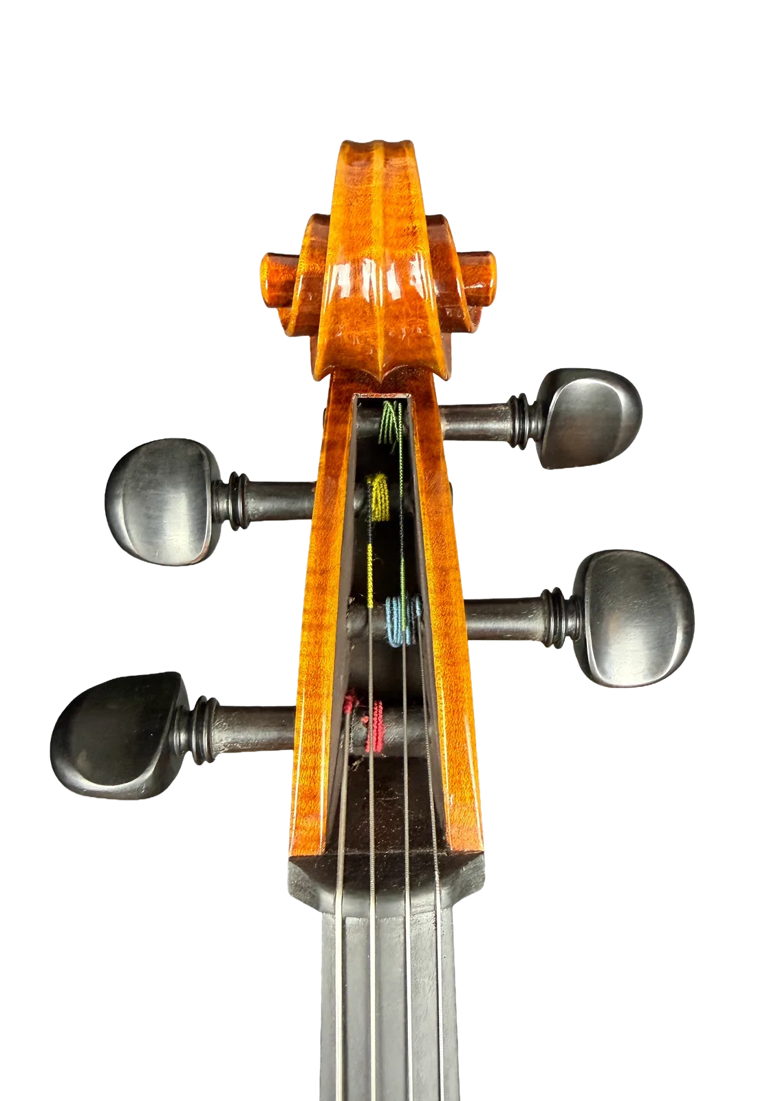 Master cello No. 7 — Gagliano model — photo 11