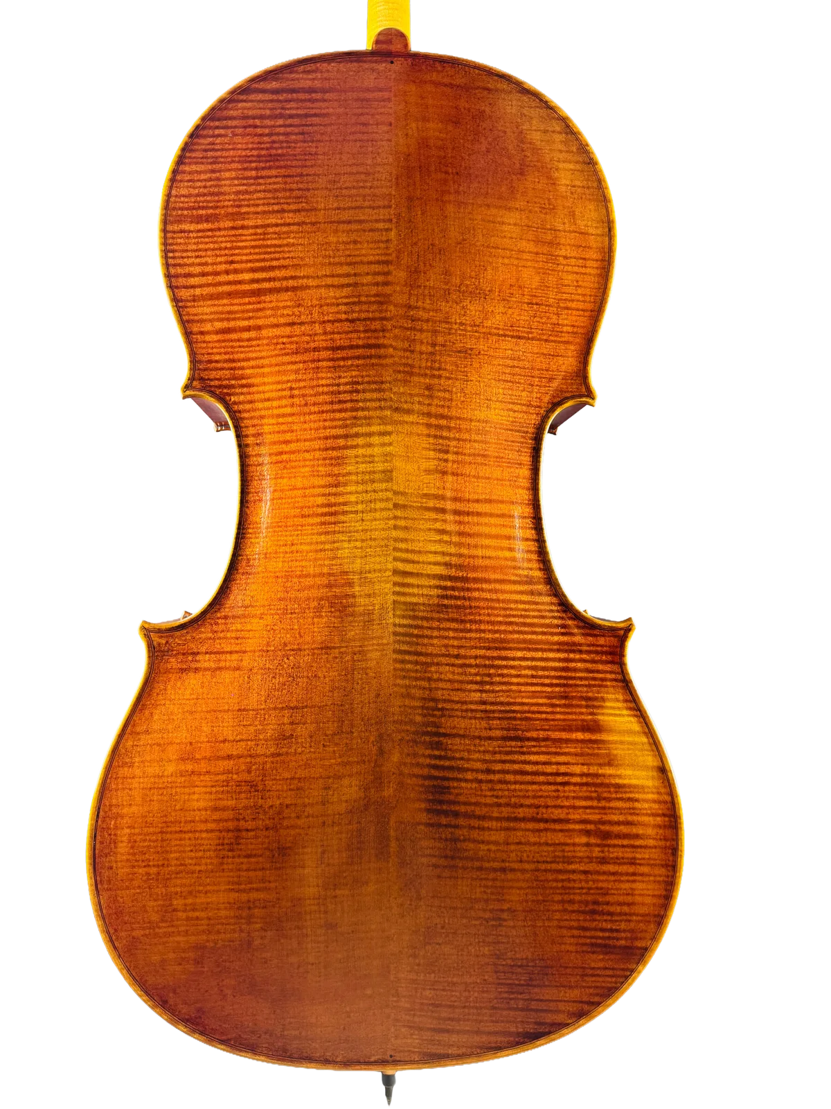 Master cello No. 7 — Gagliano model — photo 2