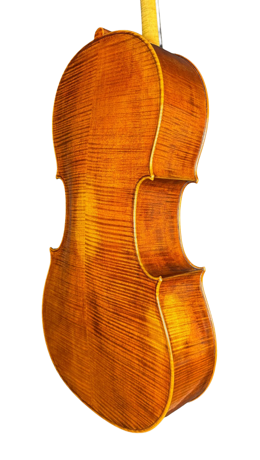 Master cello No. 7 — Gagliano model — photo 4