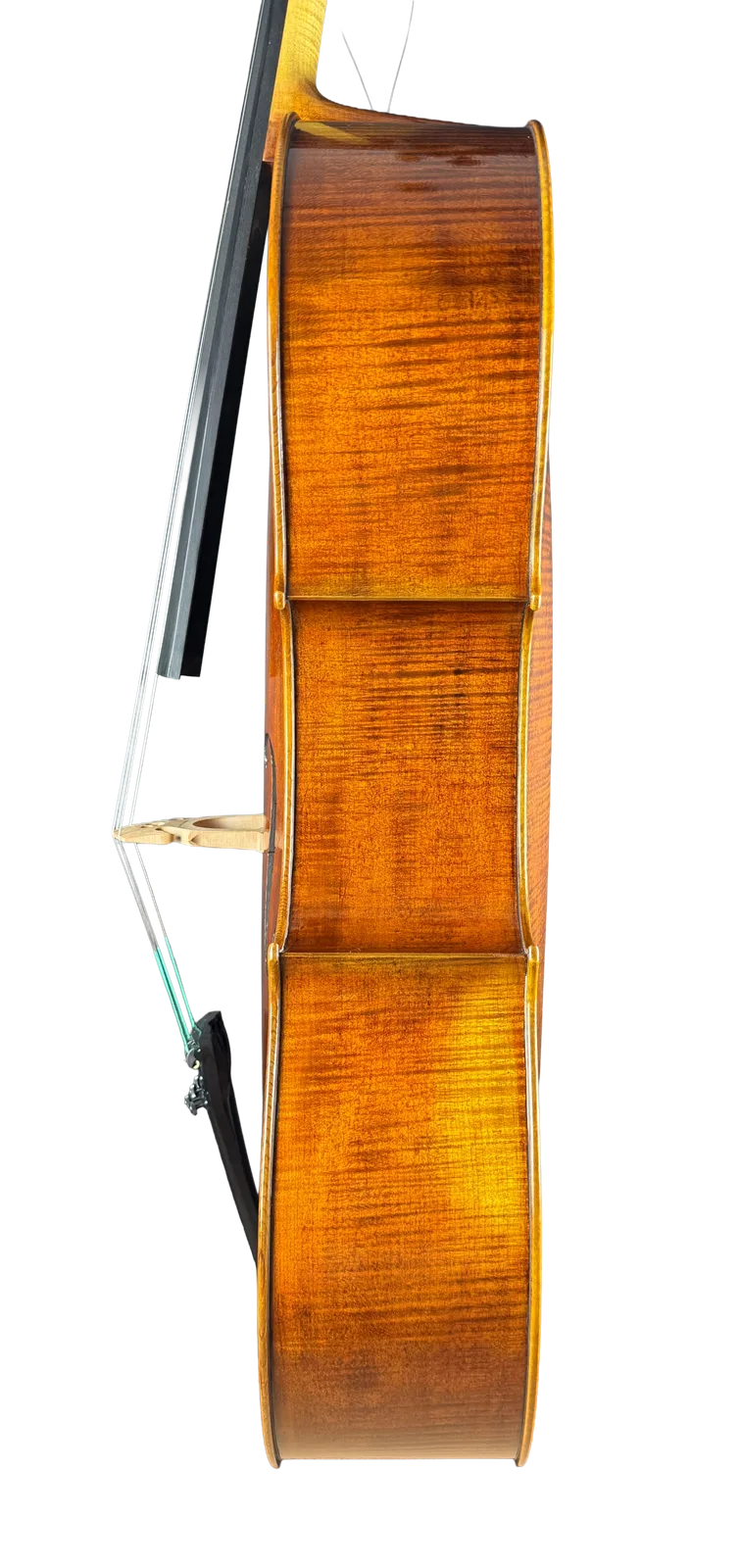 Master cello No. 7 — Gagliano model — photo 5