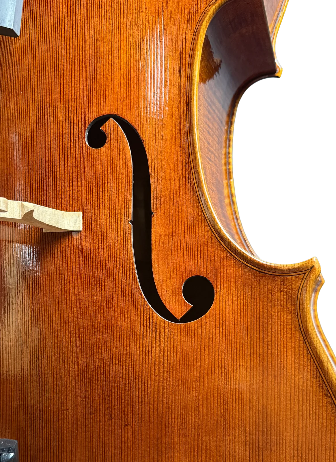 Master cello No. 7 — Gagliano model — photo 6