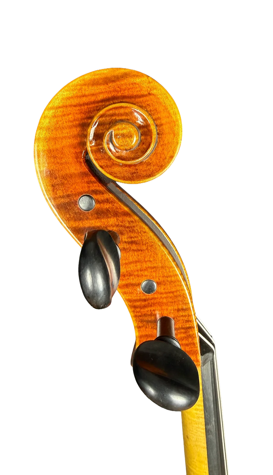 Master cello No. 7 — Gagliano model — photo 8