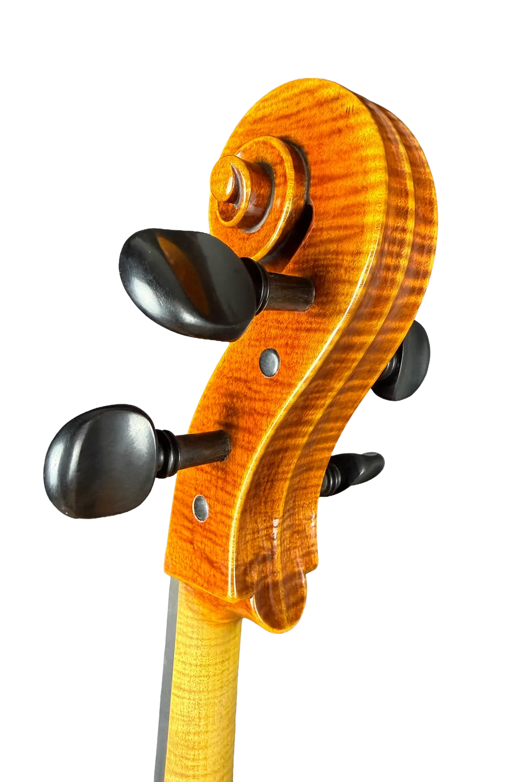 Master cello No. 7 — Gagliano model — photo 9