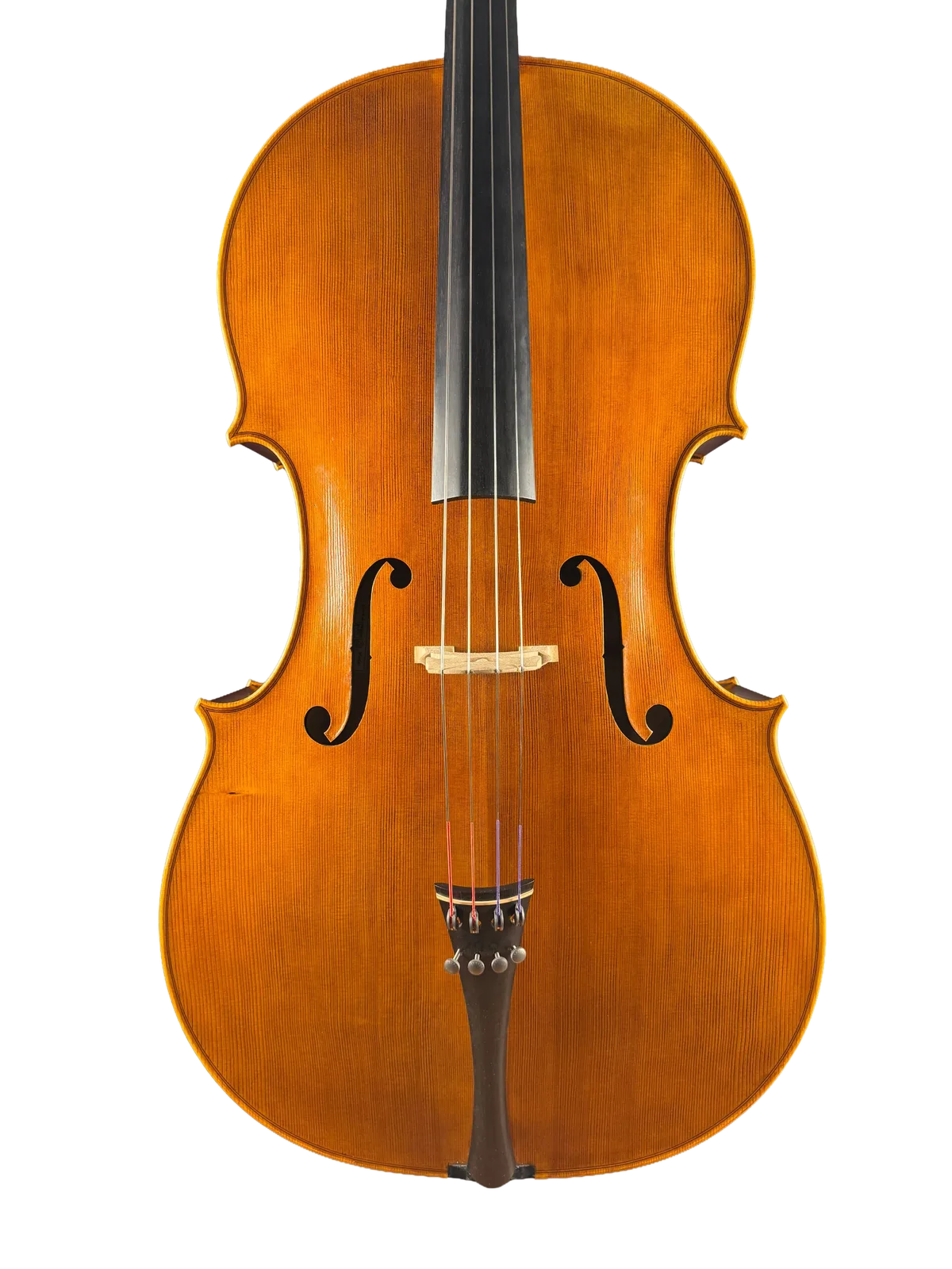 Master cello No. 8 — Gofriller model