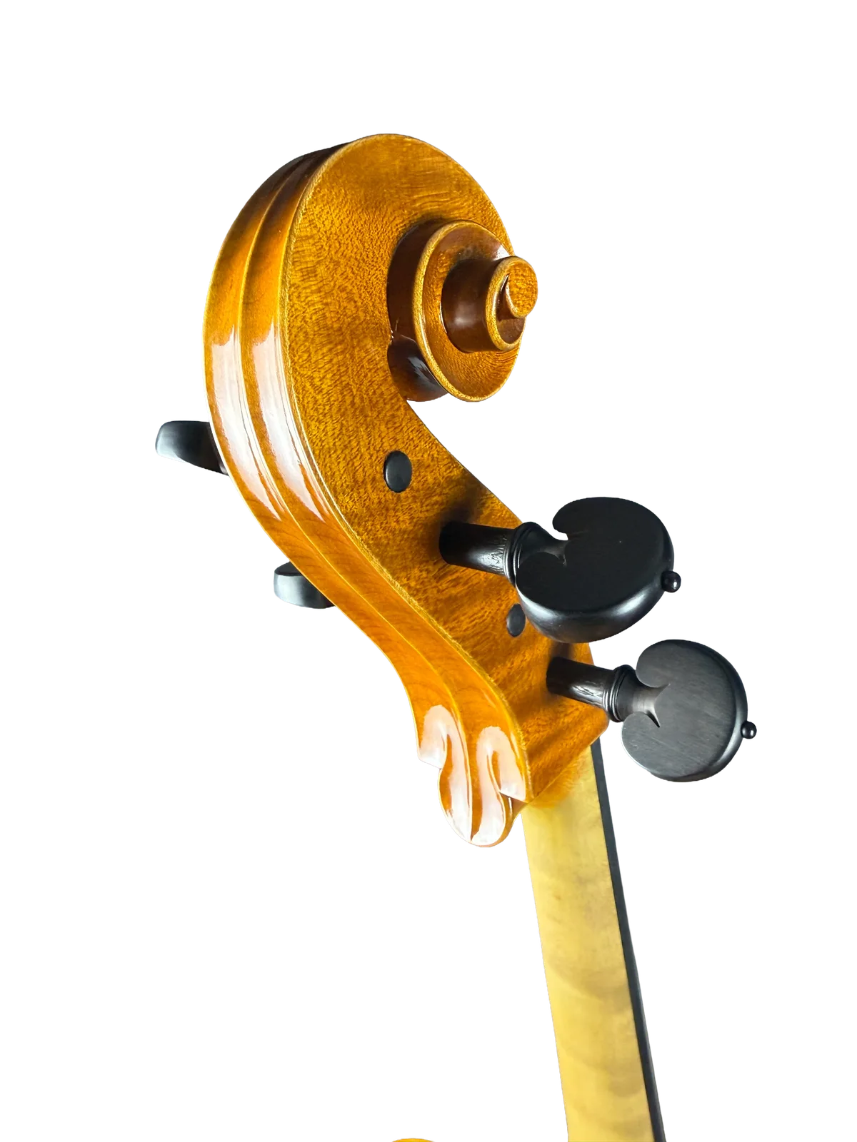Master cello No. 8 — Gofriller model — photo 10