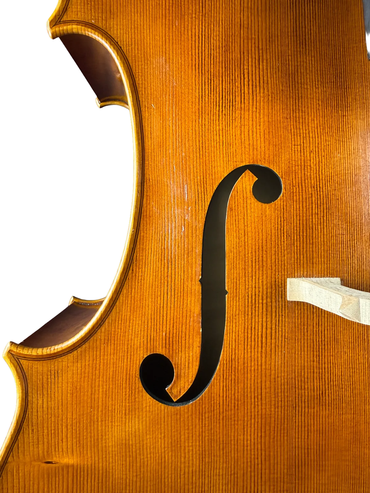 Master cello No. 8 — Gofriller model — photo 11