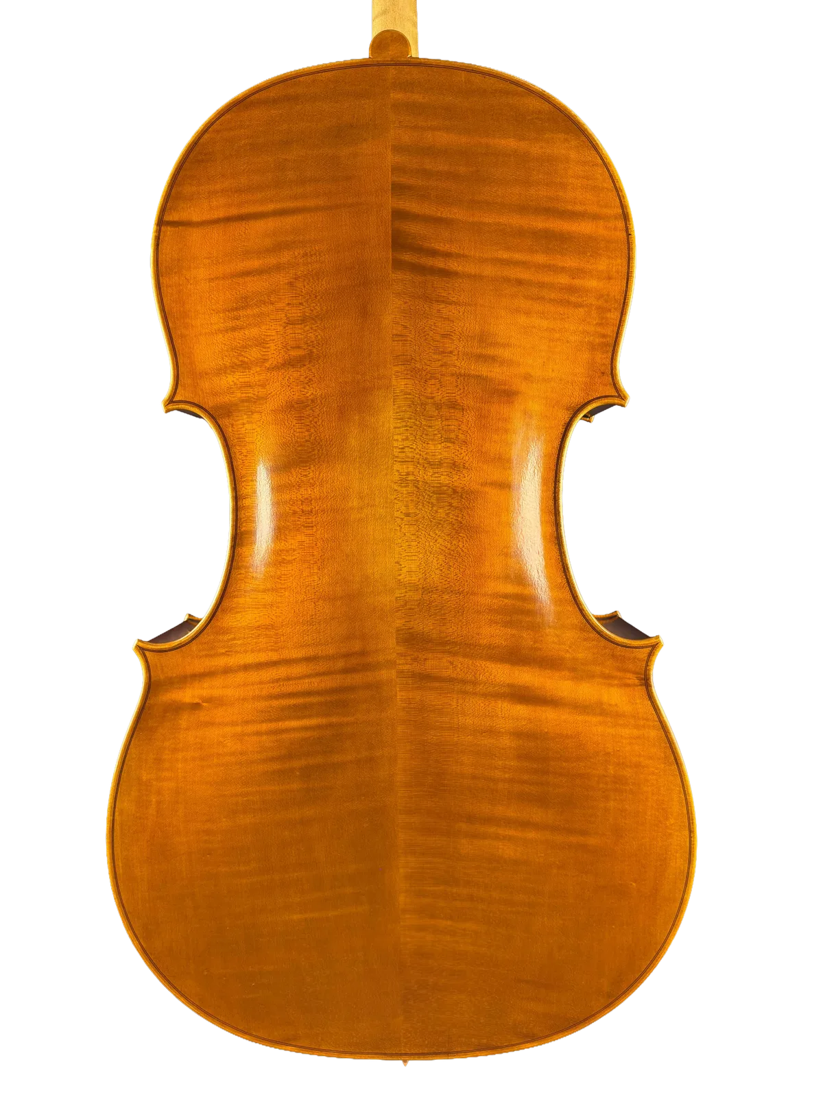 Master cello No. 8 — Gofriller model — photo 2