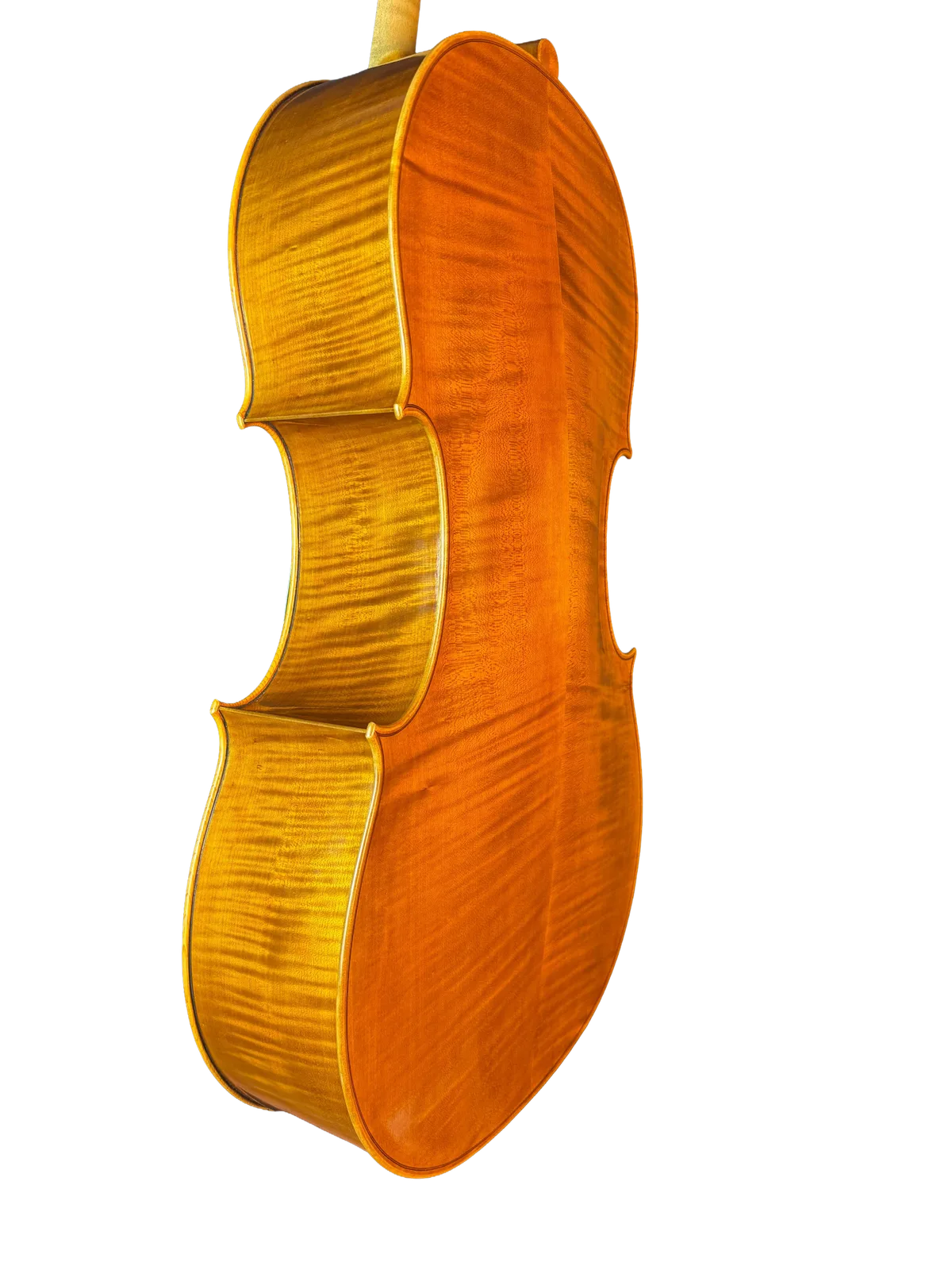 Master cello No. 8 — Gofriller model — photo 3