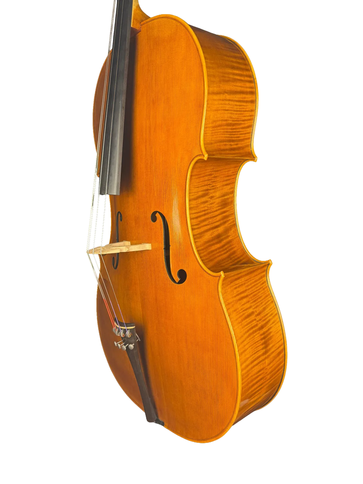 Master cello No. 8 — Gofriller model — photo 4