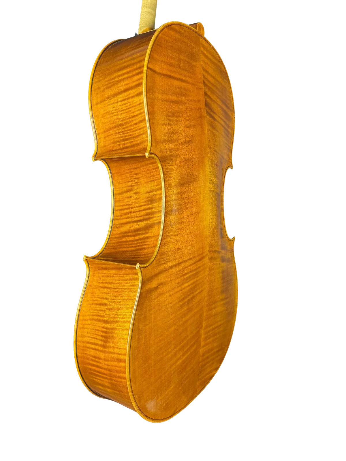Master cello No. 8 — Gofriller model — photo 5