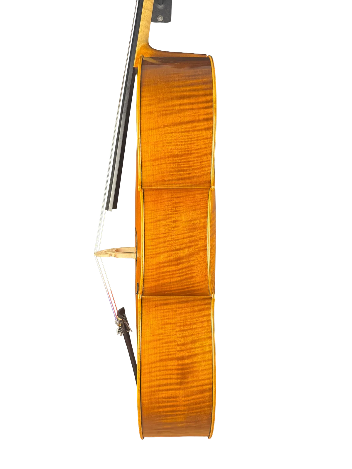 Master cello No. 8 — Gofriller model — photo 6