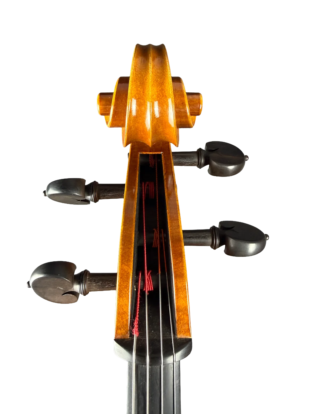 Master cello No. 8 — Gofriller model — photo 7