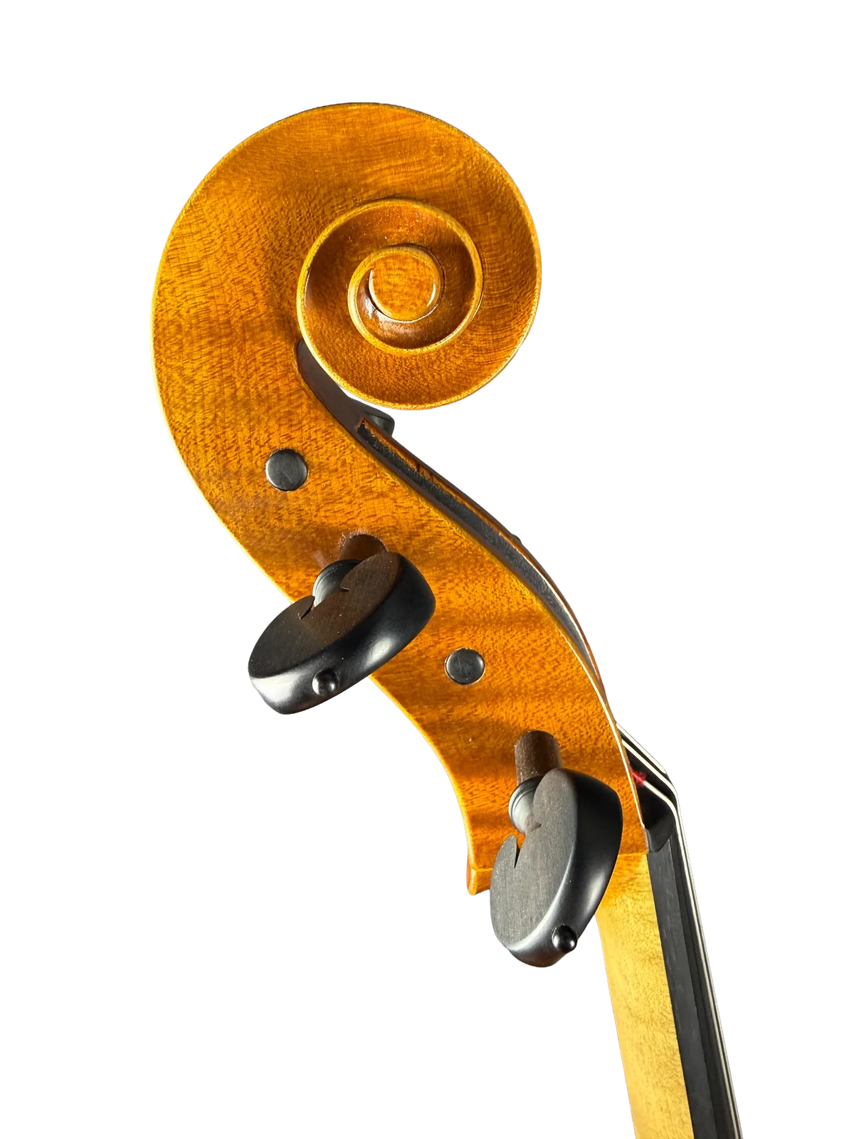 Master cello No. 8 — Gofriller model — photo 8