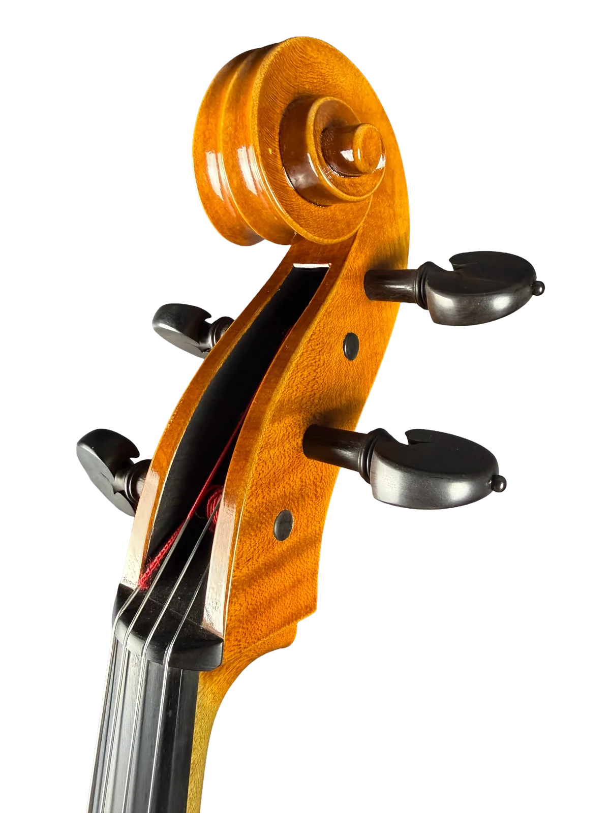 Master cello No. 8 — Gofriller model — photo 9