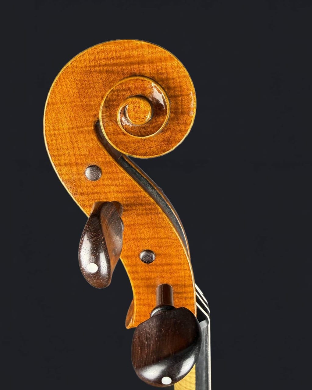 Violoncel de maestru 7/8 „Eduard” (2023) — fotografie 3