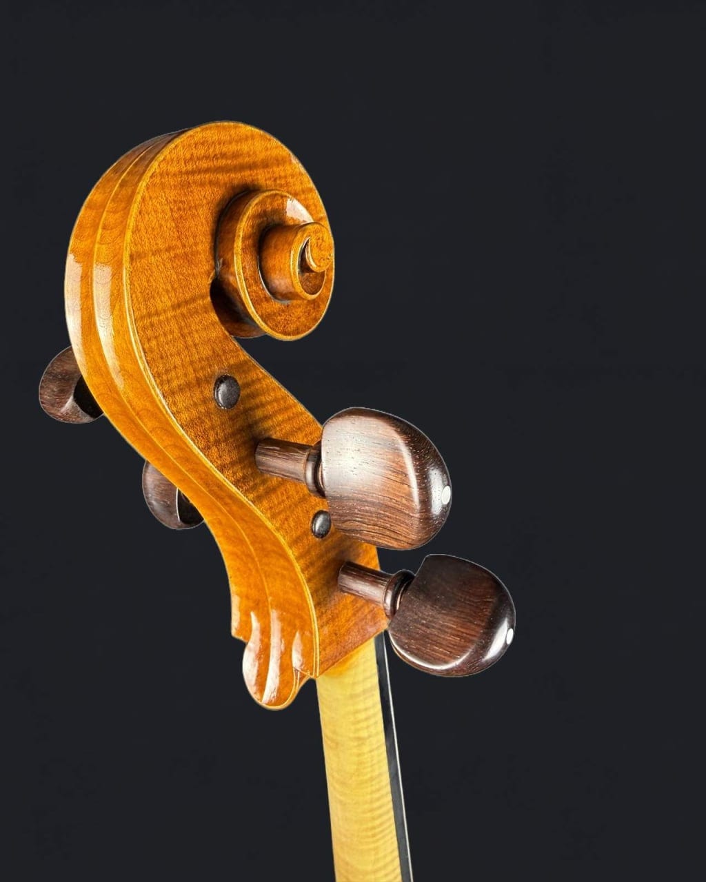 Violoncel de maestru 7/8 „Eduard” (2023) — fotografie 4