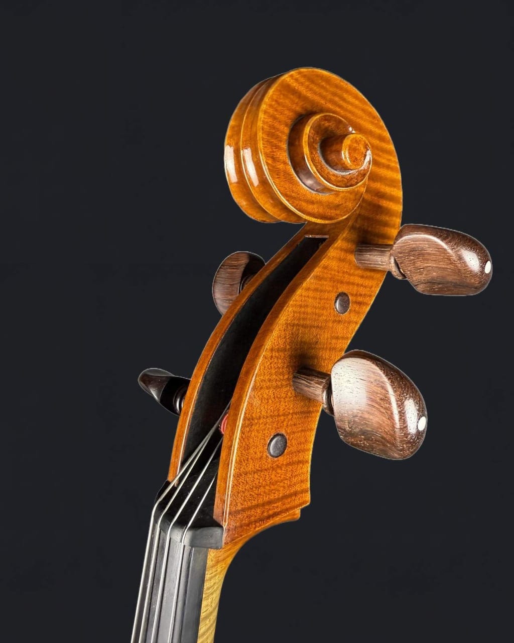Violoncel de maestru 7/8 „Eduard” (2023) — fotografie 5