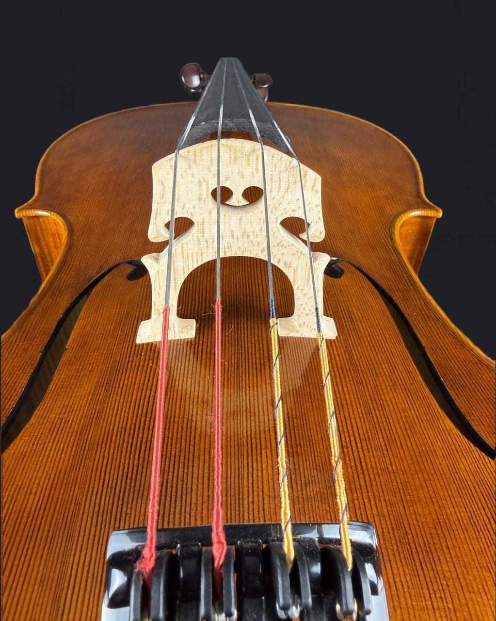 Violoncel de maestru 7/8 „Eduard” (2023) — fotografie 6
