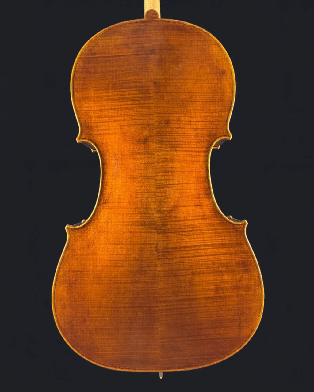 Violoncel de maestru 7/8 „Eduard” (2023) — fotografie 7