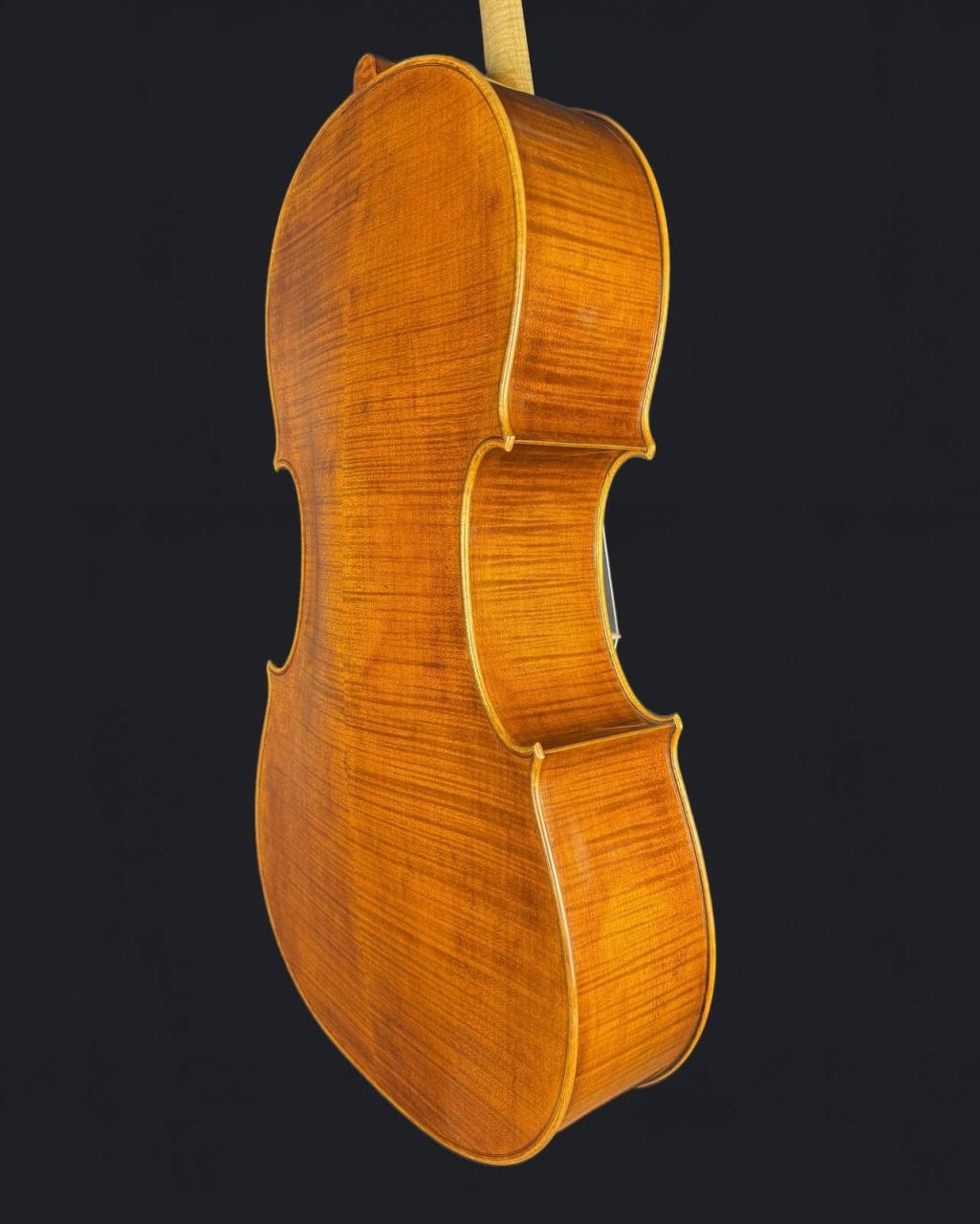 Violoncel de maestru 7/8 „Eduard” (2023) — fotografie 8