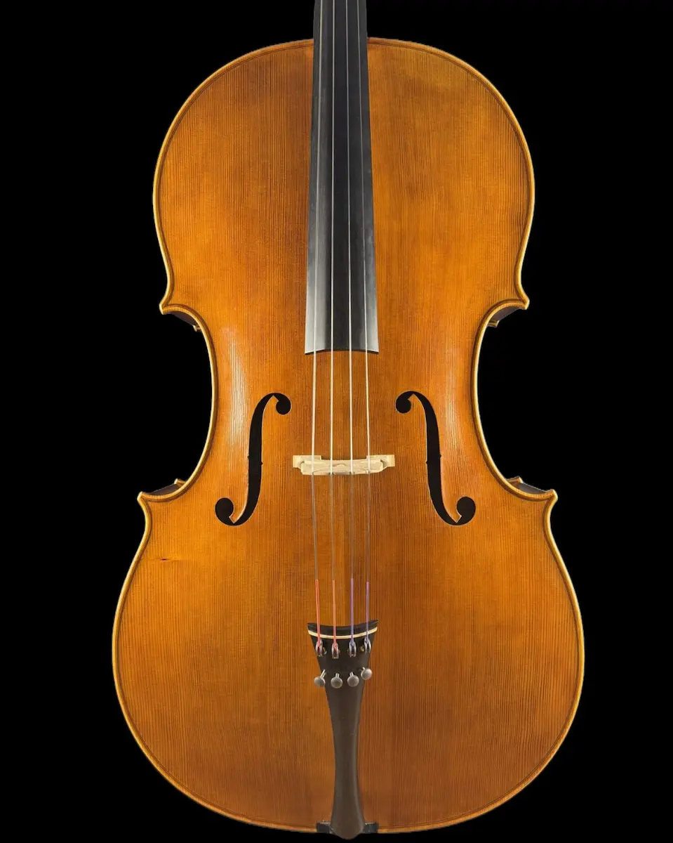 Master cello No. 67 — Matteo Gofriller 1693