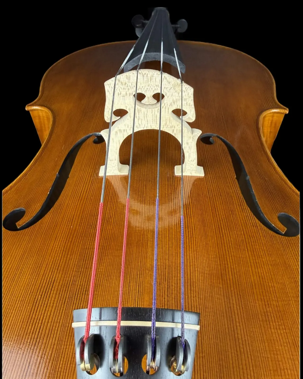 Violoncel de maestru №67 — Matteo Gofriller 1693 — fotografie 2
