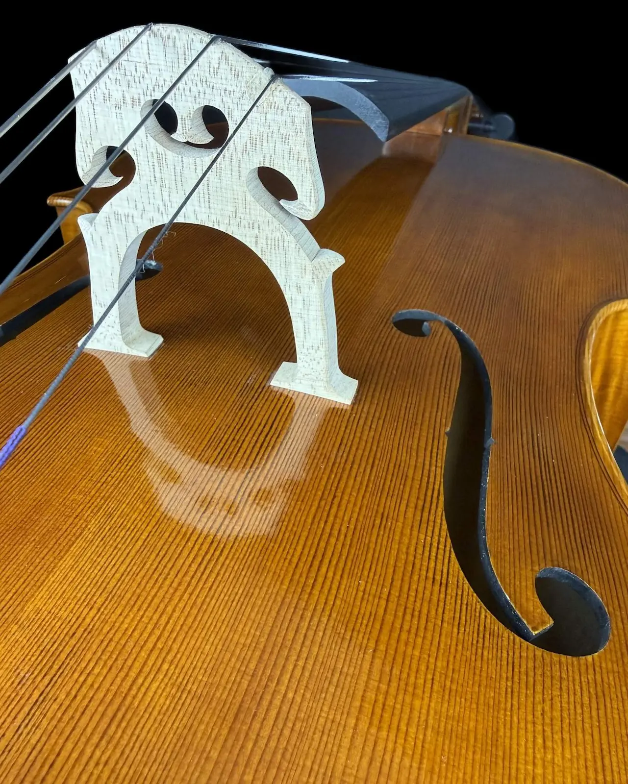 Violoncel de maestru №67 — Matteo Gofriller 1693 — fotografie 3